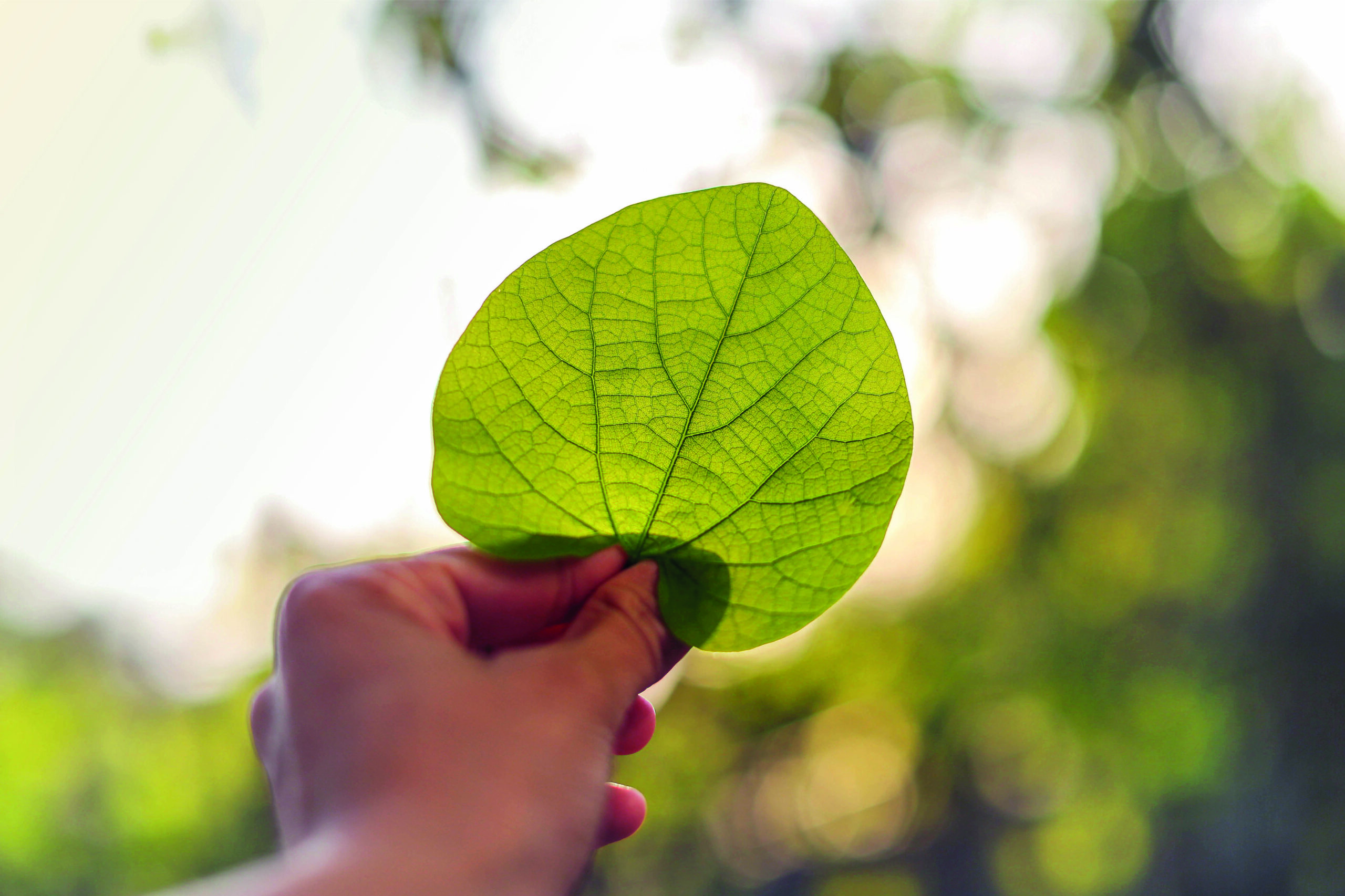 Bespaarwaaier (1280x853px)10